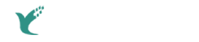 江苏求寔新材料有限公司